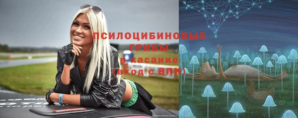 стаф Балахна