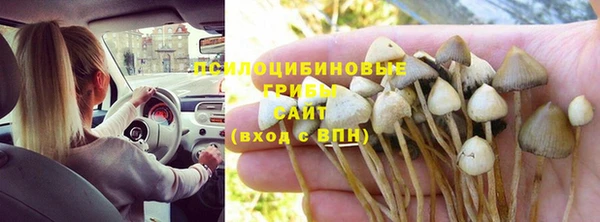 экстази Баксан
