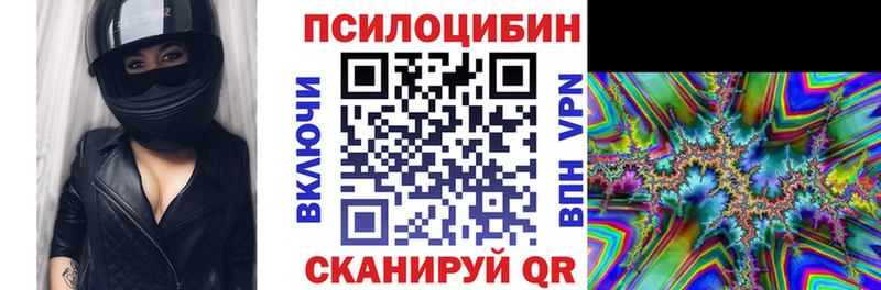 кракен зеркало  Губаха  Псилоцибиновые грибы Psilocybe 